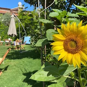 https://lemon-ada-butik-otel.aegeanhotels.net